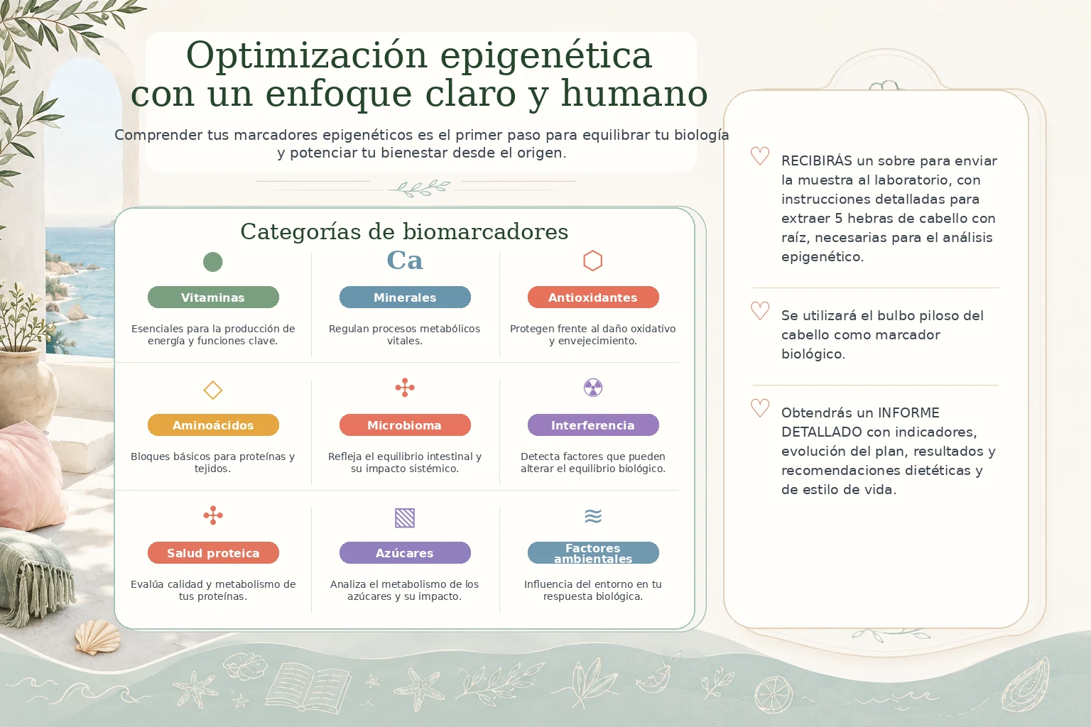 Optimización epigenética con categorías de biomarcadores, instrucciones de muestra e información del informe