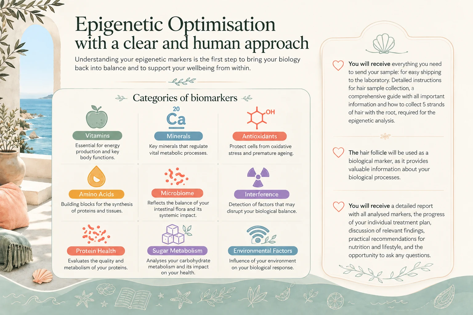 Epigenetic optimisation panel with biomarker categories, hair-sample instructions and personalised report information in English