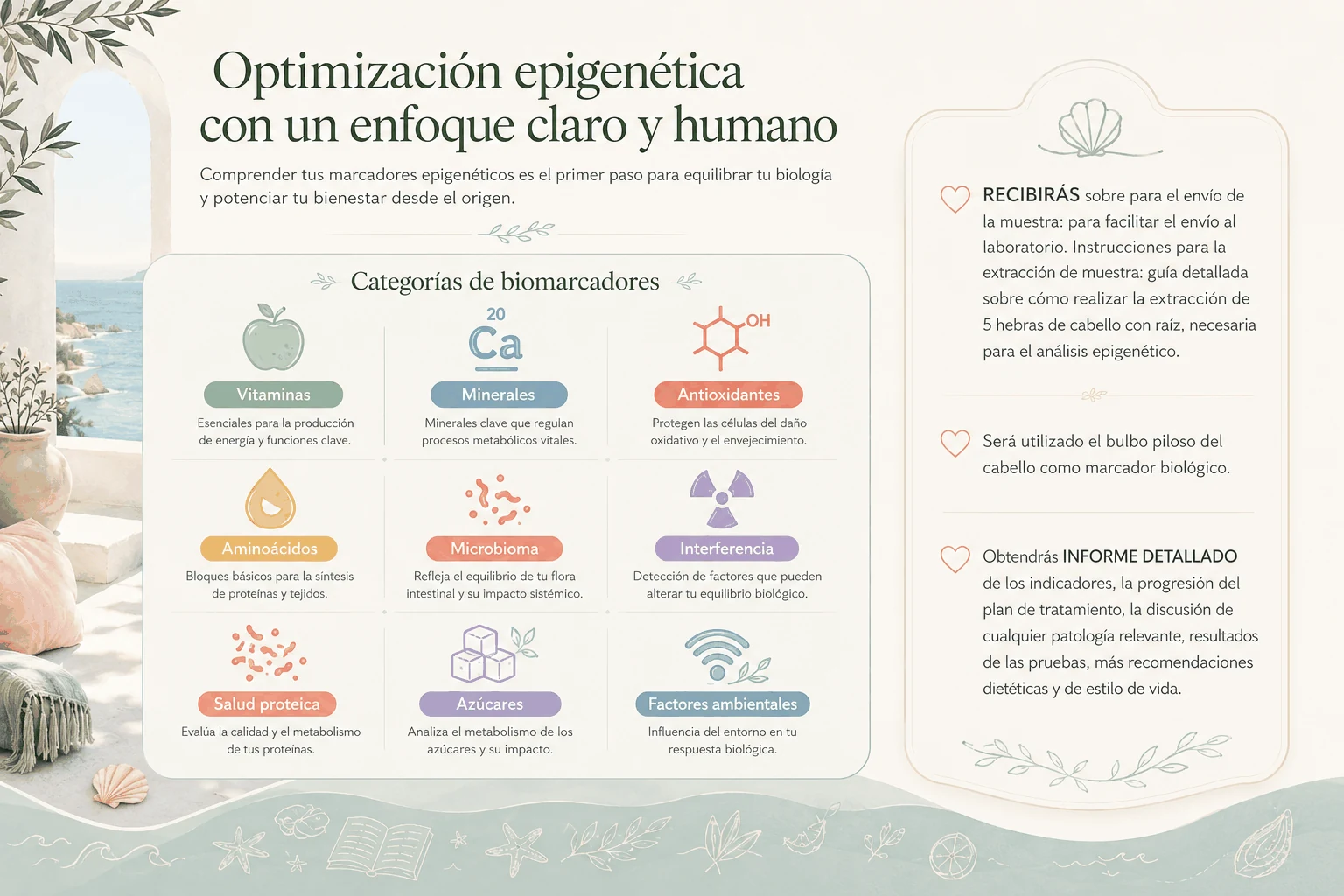 Panel de optimización epigenética con vitaminas, minerales, antioxidantes, aminoácidos, microbioma, proteínas, azúcares y factores ambientales